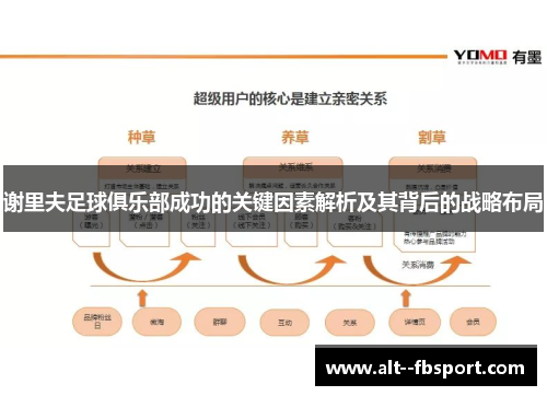谢里夫足球俱乐部成功的关键因素解析及其背后的战略布局