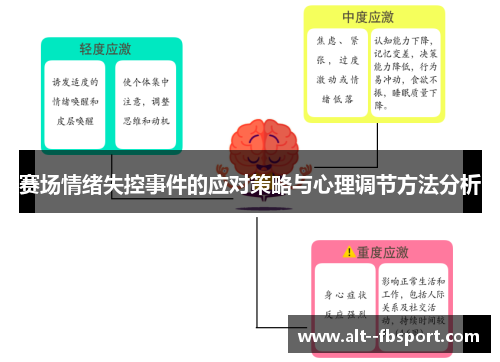赛场情绪失控事件的应对策略与心理调节方法分析