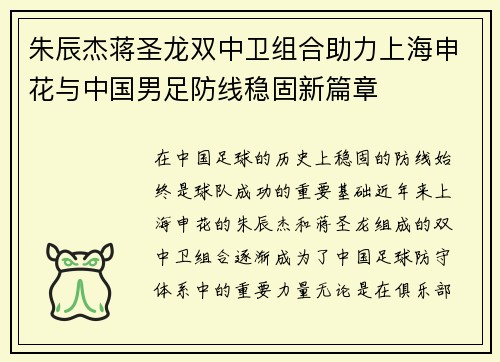 朱辰杰蒋圣龙双中卫组合助力上海申花与中国男足防线稳固新篇章